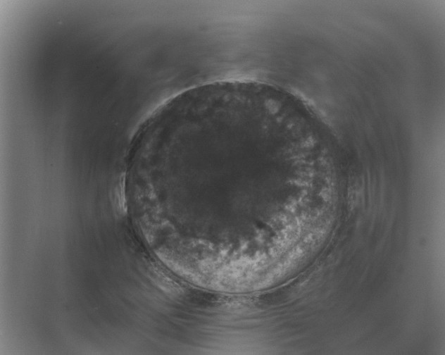 X0000074971262200609152113