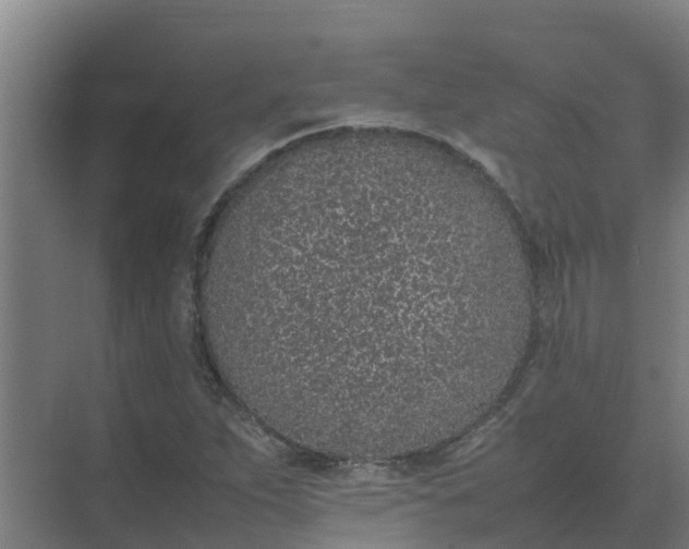 X0000074971263200609152113