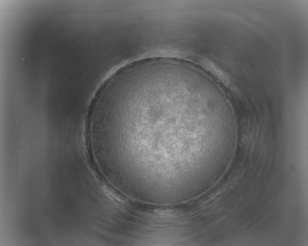 X0000074971264200609152113