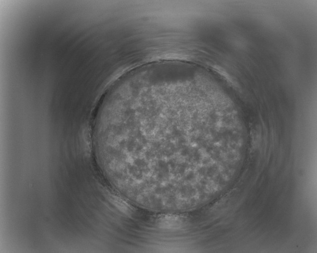 X0000074971266200609152113