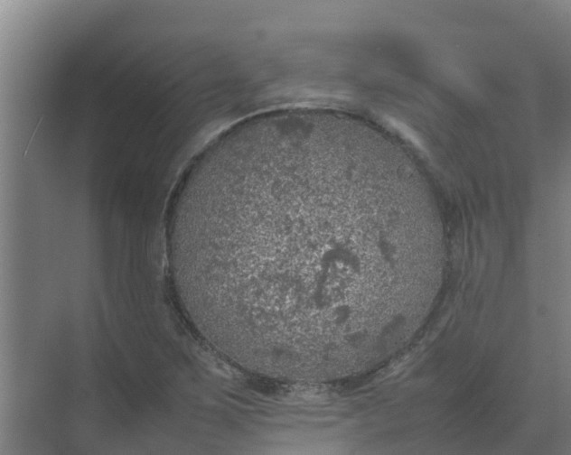 X0000074971267200609152113