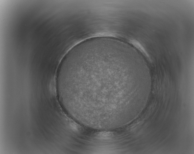 X0000074971268200609152113