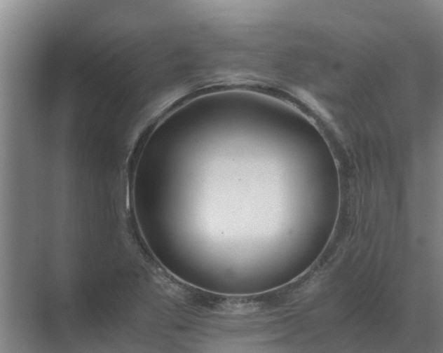 X0000074971269200609152113