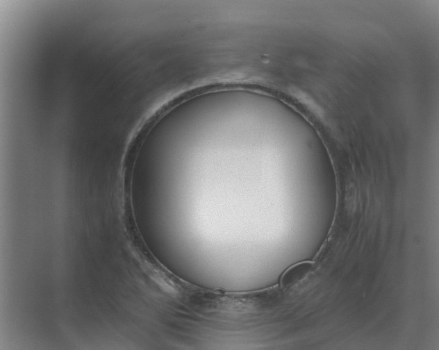 X0000074971270200609152113