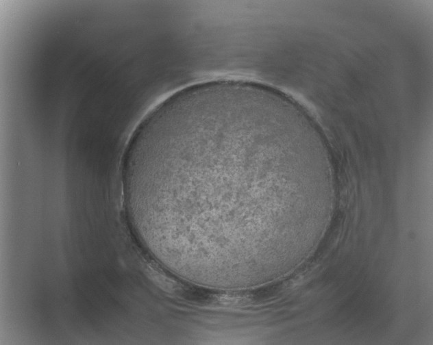 X0000074971271200609152113