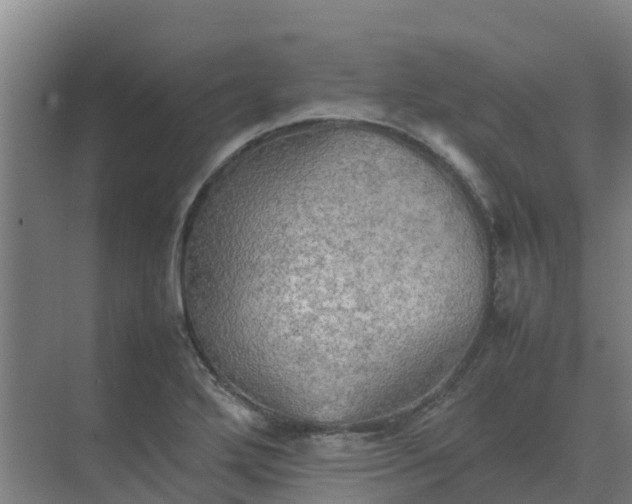 X0000074971272200609152113