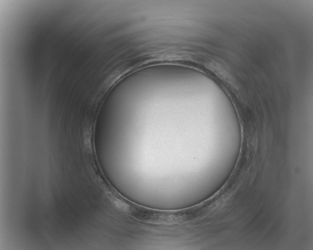 X0000074971273200609152113