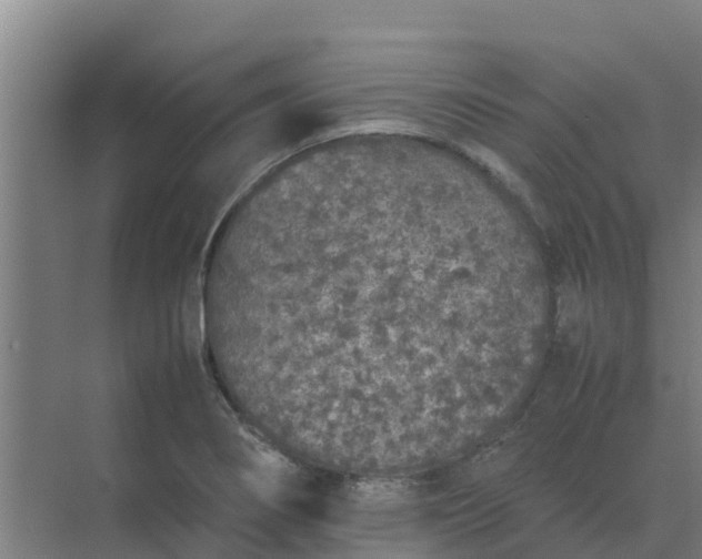 X0000074971274200609152113