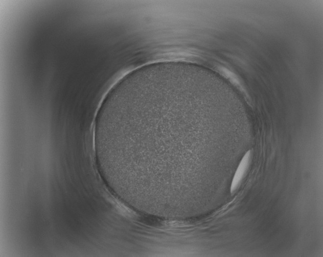 X0000074971275200609152113