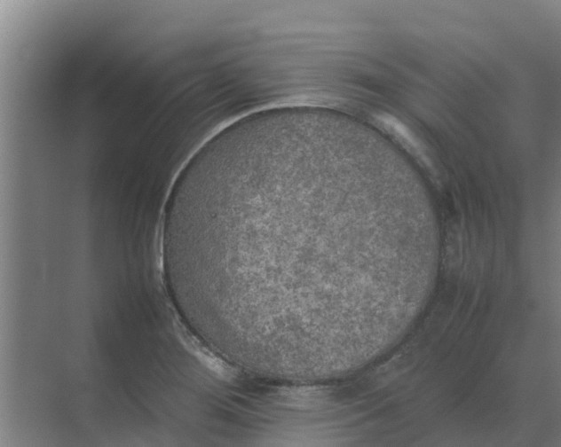 X0000074971276200609152113