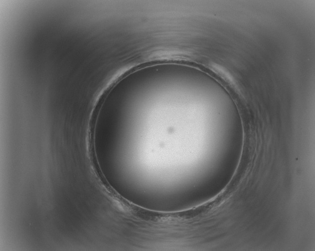 X0000074971277200609152113