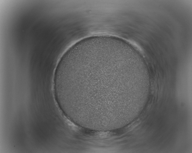 X0000074971279200609152113