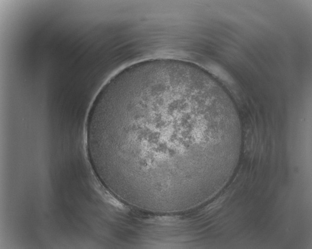 X0000074971280200609152113