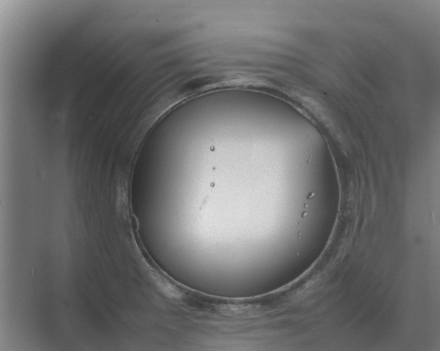 X0000074971281200609152113