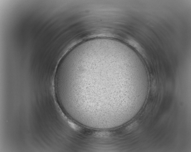 X0000074971282200609152113