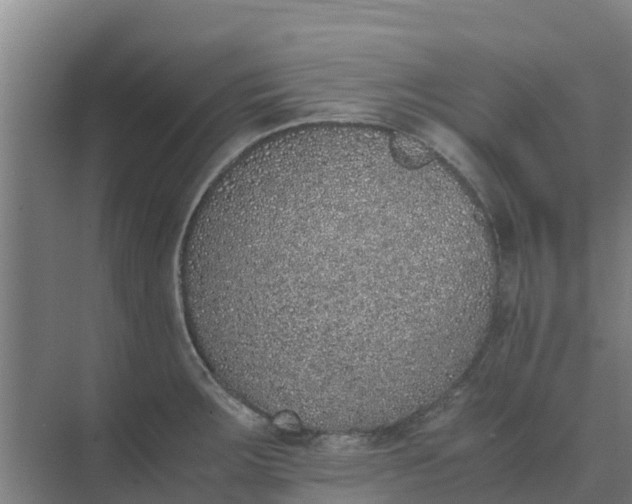 X0000074971283200609152113