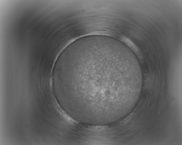 X0000074971284200609152113