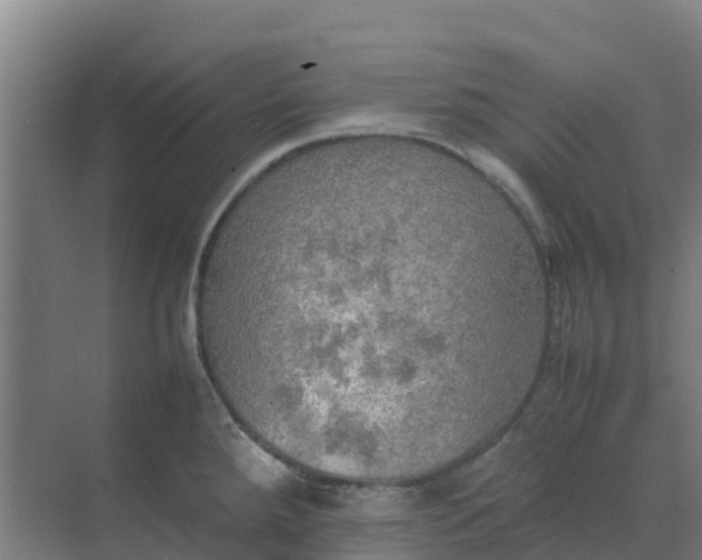 X0000074971288200609152113