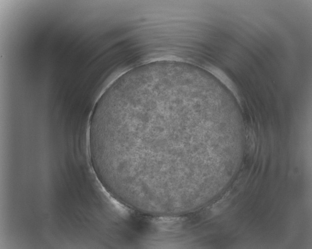 X0000074971290200609152113