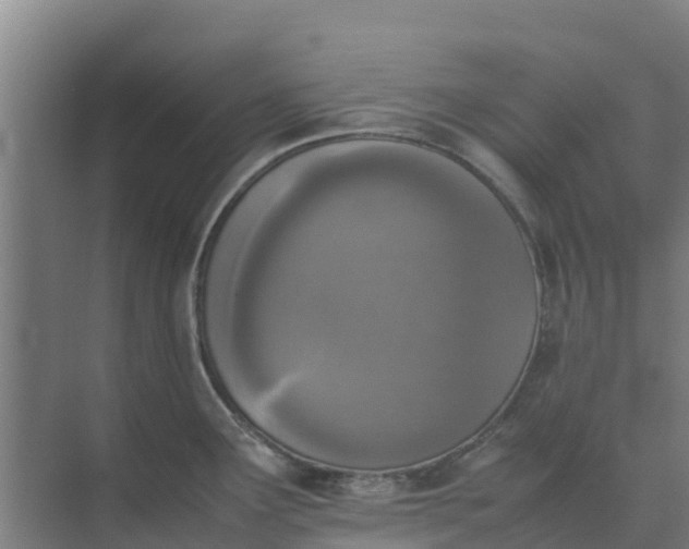 X0000074971291200609152113