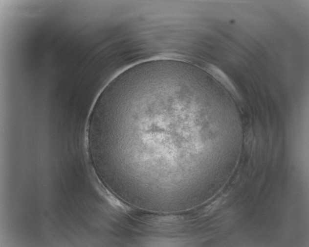 X0000074971292200609152113