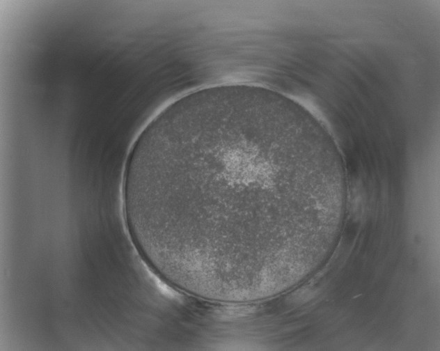 X0000074971294200609152113