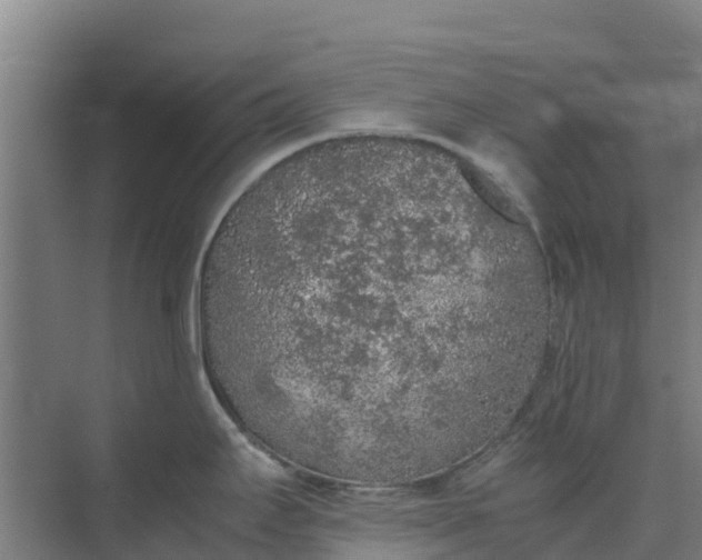 X0000074971295200609152113