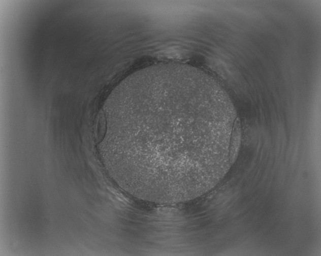 X0000074971297200609152112