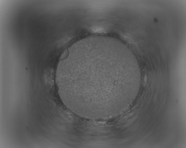 X0000074971301200609152112