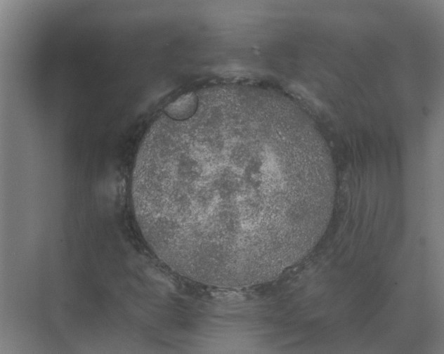 X0000074971302200609152112