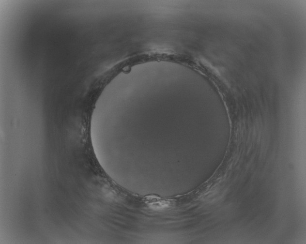 X0000074971303200609152112