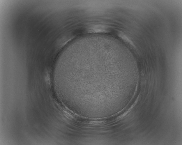 X0000074971305200609152112