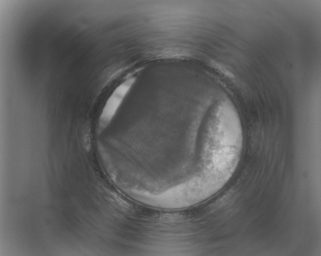 X0000074971306200609152112