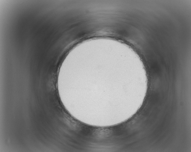 X0000074971314200609152112