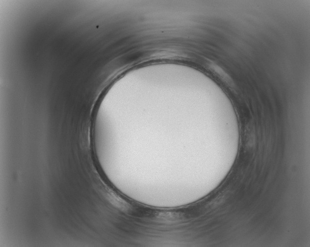 X0000074971322200609152112