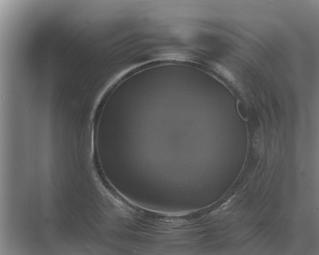 X0000074971323200609152112