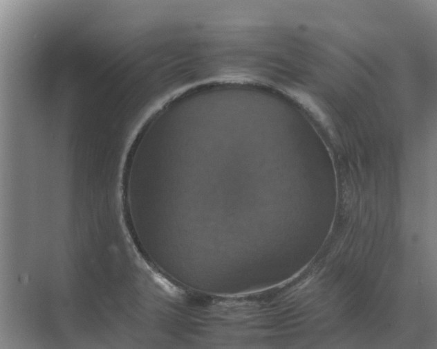 X0000074971327200609152112