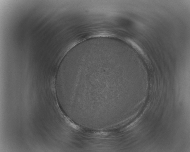 X0000074971329200609152112