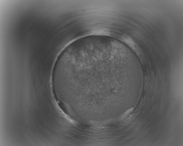 X0000074971331200609152112