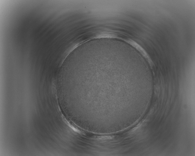 X0000074971337200609152112