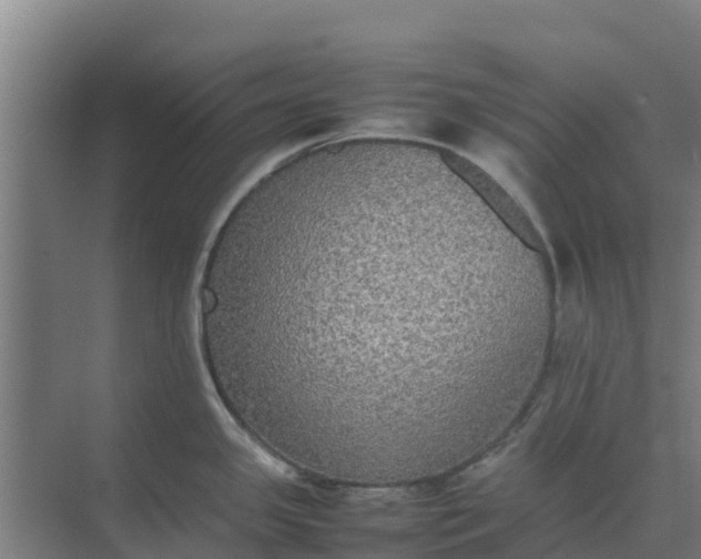 X0000074971341200609152112