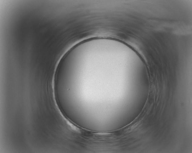 X0000074971343200609152112