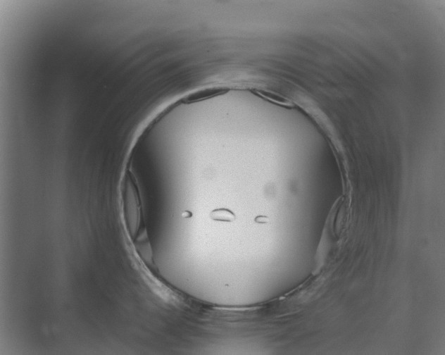 X0000074971344200609152112