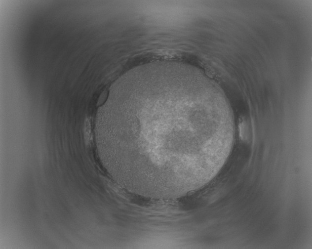 X0000074971347200609152112