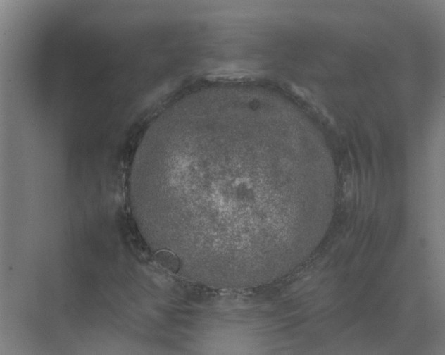 X0000074971350200609152112