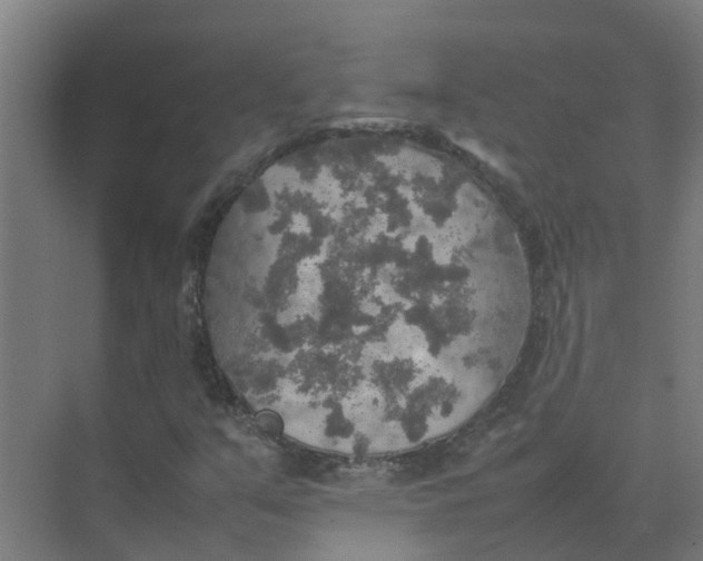 X0000074971351200609152112