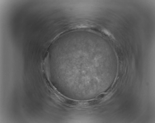 X0000074971353200609152112