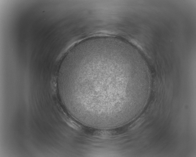 X0000074971355200609152112