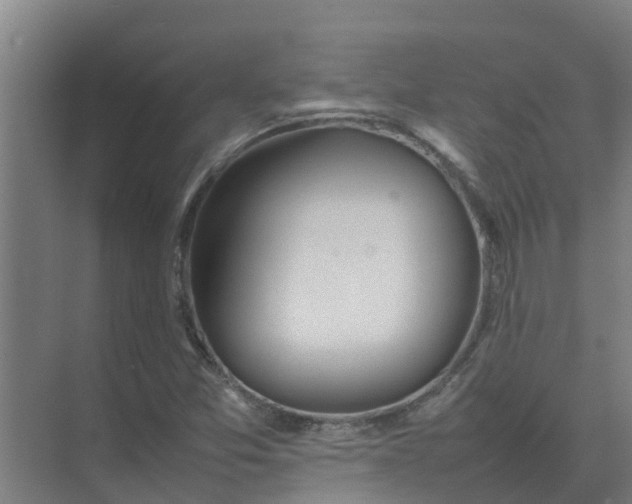 X0000074971357200609152111