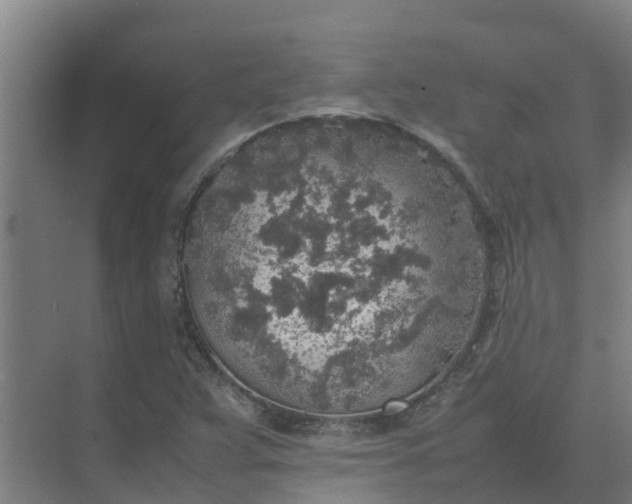 X0000074971359200609152111